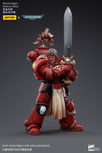 Blood Angels Veteran Salus 4