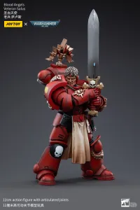 JOYTOY Blood Angels Veteran Salus - Warhammer 40K - photo 4