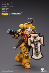 Primaris Space Marines Imperial Fists Bladeguard Veteran 5