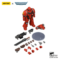 Blood Angels Intercessor with Bolt Rifle, Bolt Pistol and Chainsword 12