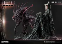 Prime 1 Studio Premium Masterline Aliens (Comics) Rogue Alien Battle Diorama EX Version - Alien (Movie Franchise) - photo 74