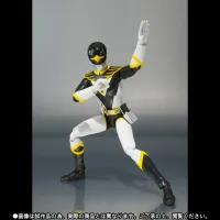 TAMASHII NATIONS Black Condor (Choujin Sentai Jetman) - Tokusatsu - photo 1