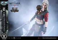 Prime 1 Studio Premium Masterline The Witcher 3: Wild Hunt Ciri Fiona Elen Riannon Alternative Outfit DX Bonus Version - Video Games - photo 63