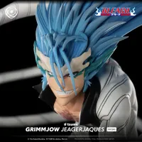 Tsume Art Grimmjow Jeagerjaques - Ikigai - BLEACH - photo 15