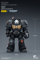 BlackTemplars Terminator 2 with Power Fist and Storm Bolter 21