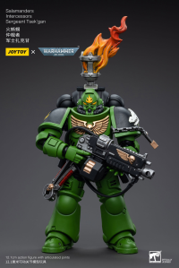Salamanders Intercessors Sergeant Tsek'gan 3