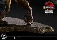 Prime 1 Studio Prime Collectible Figures  Jurassic Park (Film)  Velociraptor  Closed Mouth - Jurassic Park - photo 29