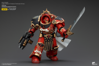 Blood Angels Legion Praetor in Tartaros Terminator Armour 7