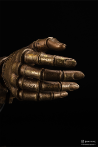 Elden Ring: Arm Of Malenia Life-Size Replica 33