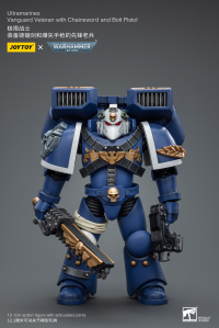 Ultramarines Vanguard Veteran with Chainsword and Bolt Pistol 1