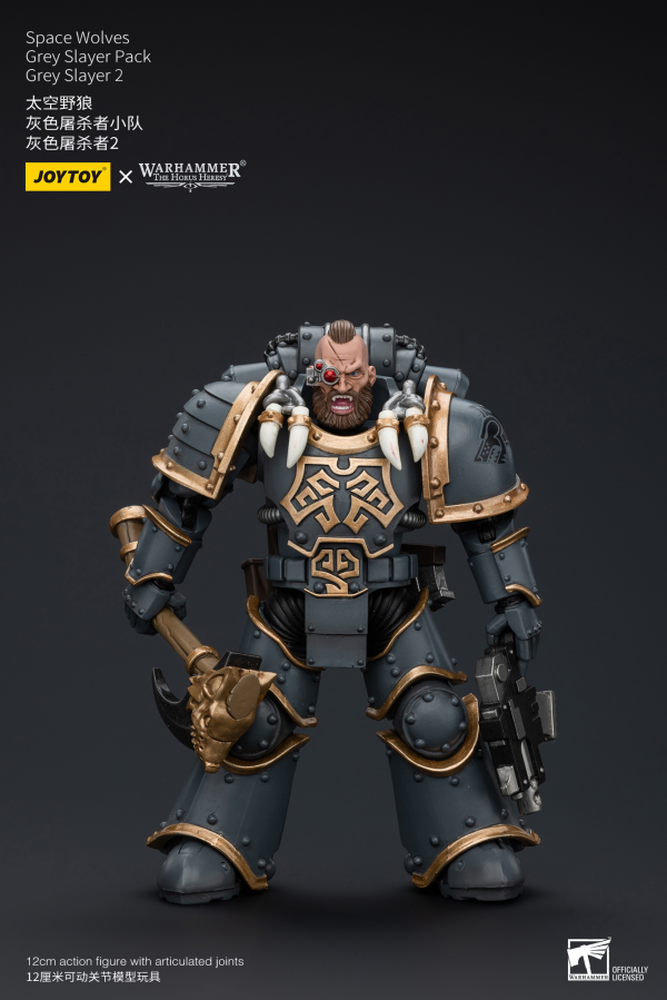 Space Wolves Grey Slayer Pack Grey Slayer2
