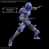 30MF LIBER ASSASSIN 7