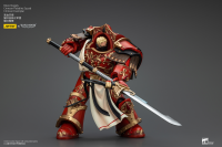 Blood Angels Crimson Paladins Squad Crimson Exemplar 12