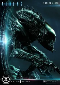 Prime 1 Studio Premium Masterline Aliens (Comics) Tusked Alien Bonus Version - Alien (Movie Franchise) - photo 54