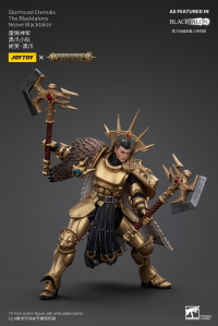 Stormcast Eternals The Blacktalons Neave Blacktalon 10