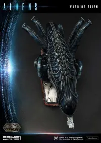 Prime 1 Studio Premium Masterline Aliens (Comics) Warrior Alien DX Bonus Version - Alien (Movie Franchise) - photo 92