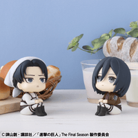 Lookup Attack on Titan Levi Cleaning up Ver. & Mikasa Ackerman set【with gift】 6