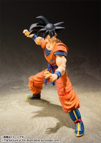 Son Goku -A Saiyan Raised On Earth- Dragon Ball Z, TAMASHII NATIONS S.H.Figuarts 7