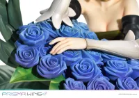 Prime 1 Studio PRISMA WING Odin Sphere Leifthrasir Gwendolyn 1/7 Scale Pre-Painted Figure - Odin Sphere Leifthrasir - photo 8