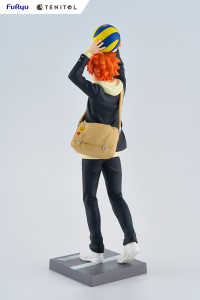TENITOL HINATA SHOYO 10