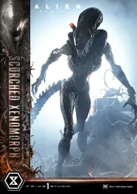 Prime 1 Studio Museum Masterline XL Alien: Romulus Scorched Xenomorph - Alien (Movie Franchise) - photo 27