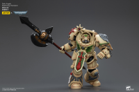Dark Angels Deathwing Champion 6