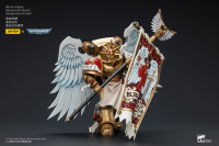 Blood Angels Sanguinary Guard Sanguinary Ancient 7