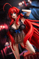 High School DxD Rias Gremory: Light Novel 15th Anniversary ver. (Renewal Package Edition) 5