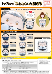 Haikyu!! FUWA KORORIN BIG 3 D 3