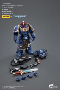 Ultramarines Intercessor Veteran Sergeant Brother Aeontas 2