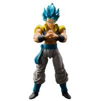 Super Saiyan God Super Saiyan Gogeta 8