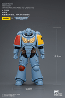 Space Wolves Intercessor with Bolt Rifle, Bolt Pistol and Chainsword 16