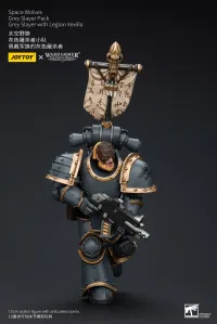 JOYTOY Space Wolves Grey Slayer Pack Grey Slayer With Legion Vexilla - Warhammer 40K - photo 4