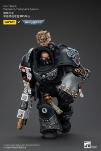 Iron Hands Captain in Terminator Armour 3