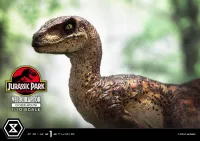 Prime 1 Studio Prime Collectible Figures  Jurassic Park (Film)  Velociraptor  Closed Mouth - Jurassic Park - photo 36