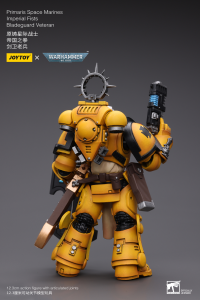 Primaris Space Marines Imperial Fists Bladeguard Veteran 4