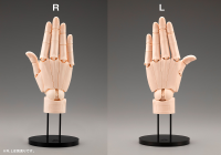 ARTIST SUPPORT ITEM HAND MODEL/R -PALE ORANGE- 7