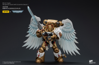 Blood Angels Sanguinary Guard with Encarmine Sword 1 9