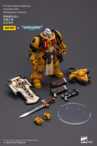 Primaris Space Marines Imperial Fists Bladeguard Veteran 2