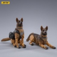Military Dog