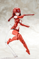 B1R-L CHASSIS KIT SKIN COLOR C 4