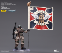 Astra Militarum Cadian Command Squad Veteran with Regimental Standard 4