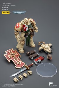 Dark Angels Bladeguard Veteran 4