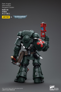Dark Angels Intercessors Sergeant Caslan 6