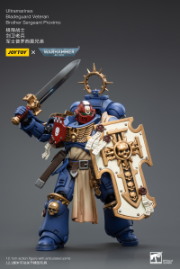 Ultramarines Bladeguard VeteranBrother Sergeant Proximo 7