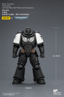 Black Templars Intercessor with Bolt Rifle, Bolt Pistol and Chainsword 16