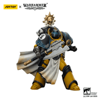 Imperial Fists Librarian Consul with Force Axe and Bolt Pistol 23