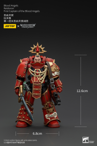 Blood Angels Raldoron First Captain of the Blood Angels 2