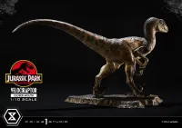 Prime 1 Studio Prime Collectible Figures  Jurassic Park (Film)  Velociraptor  Closed Mouth - Jurassic Park - photo 23