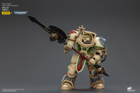 Dark Angels Deathwing Champion 8